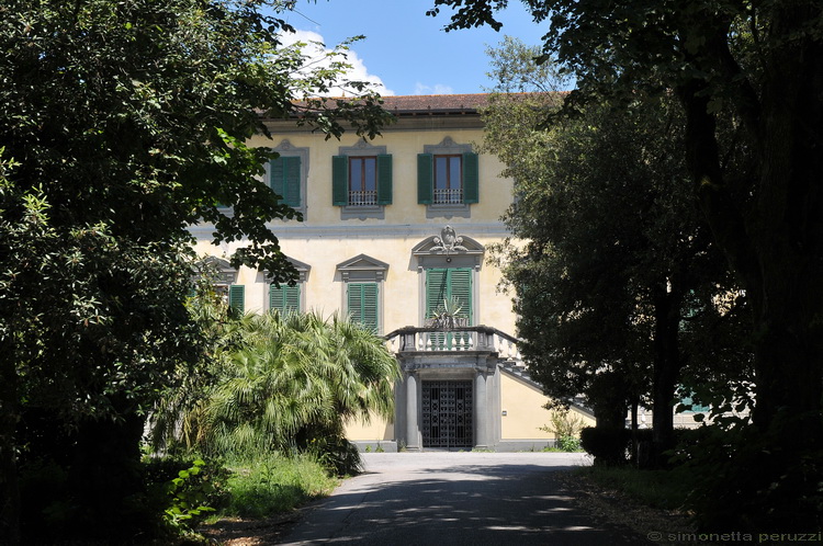 Mostra micologica a Villa Ankuri - PT